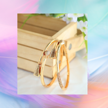 Jahnavi Bangle. ( Set of 2)