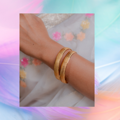 Anamika Bangle (Set of 2)