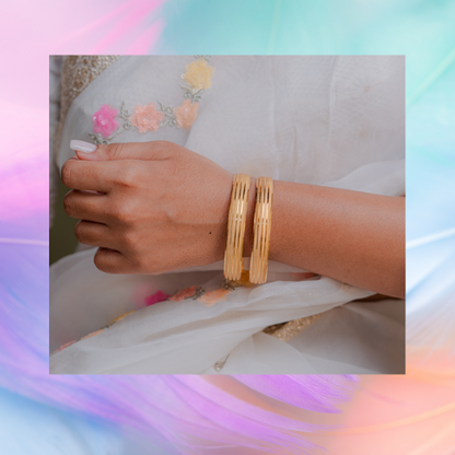 Anamika Bangle (Set of 2)